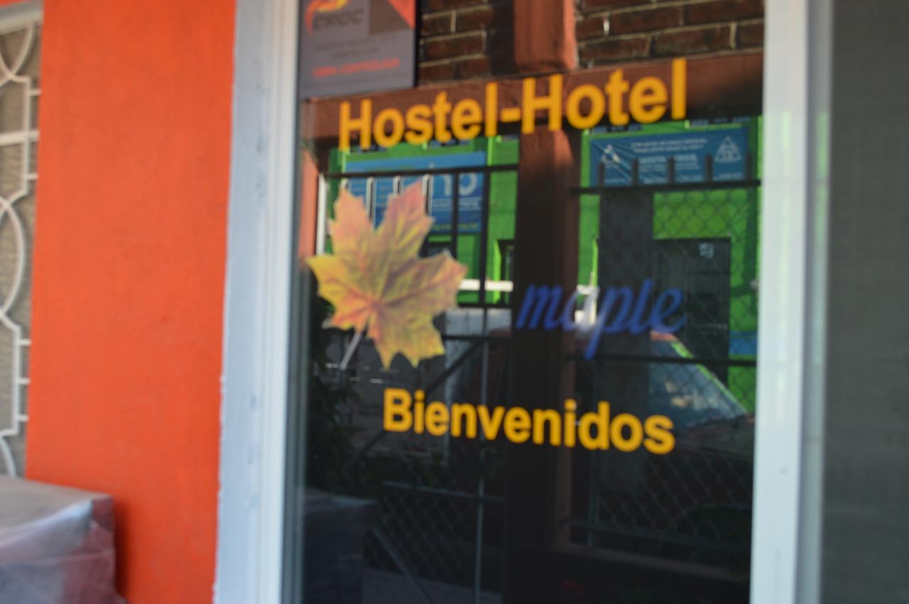 Hostal Maple Querétaro Exteriör bild